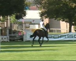 Springpferd Malic des Bouviers (Selle Français, 2000, von Veneur d'Etenclin)