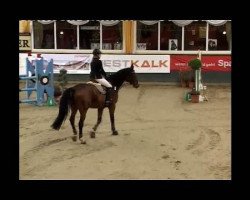 jumper Apolda 4 (Hanoverian, 2003, from Argentinus)