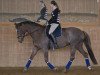 dressage horse Franziska (Hessian Warmblood, 1996, from Frisbee)