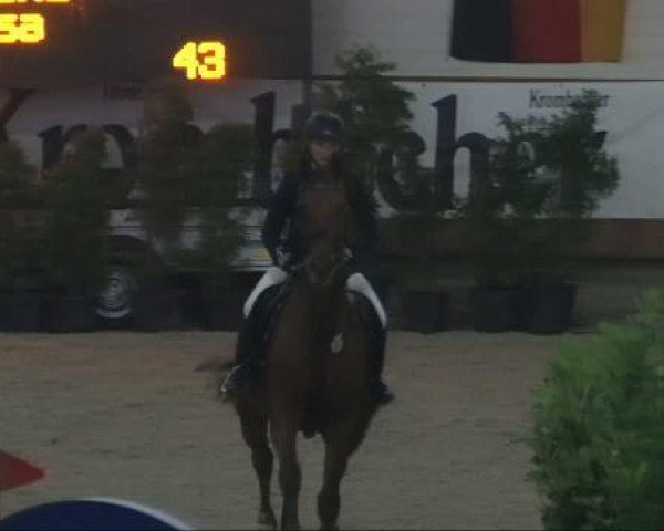 broodmare Ariane (Rhinelander, 1999, from Aquilino)