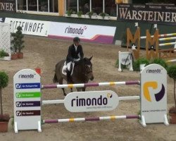 Springpferd Evarist van de Zwarte Stok (Belgisches Warmblut, 2004, von Toulon)