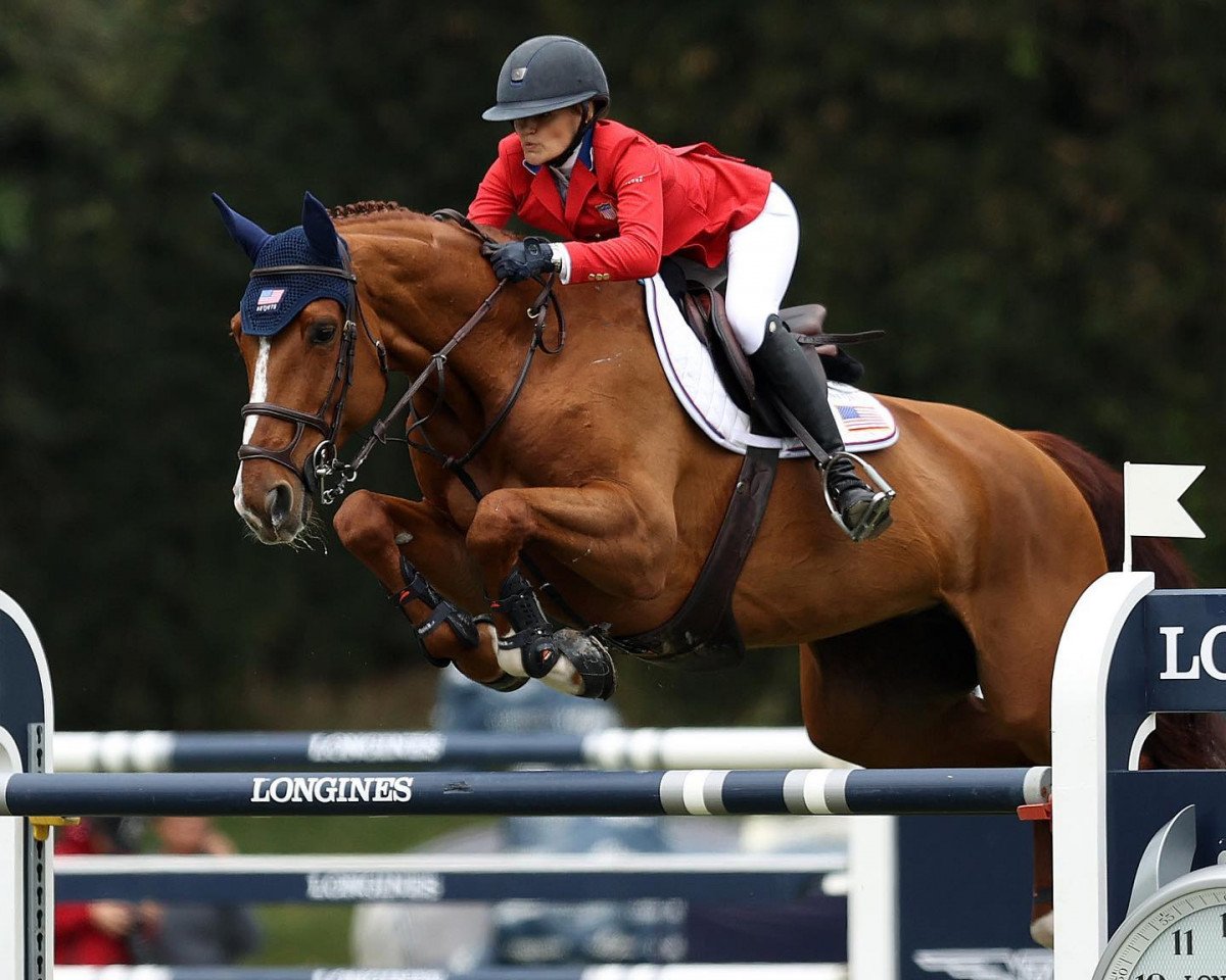 jumper Cosmona (Danish Warmblood, 2011, from Cosmeo)