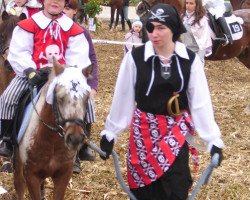 Pferd Karino (Dt.Part-bred Shetland Pony, 2006, von Admiral)