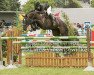 broodmare Kanermie van het Weyenshof (Belgian Warmblood, 2010, from Nabab de Rêve)