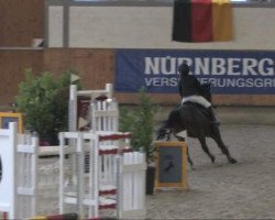 jumper Navajo Hit (German Riding Pony, 1997, from Nibelungenheld)