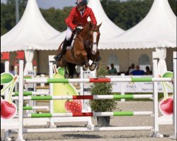 jumper Heritage (KWPN (Royal Dutch Sporthorse), 2012, from Inshallah de Muze)