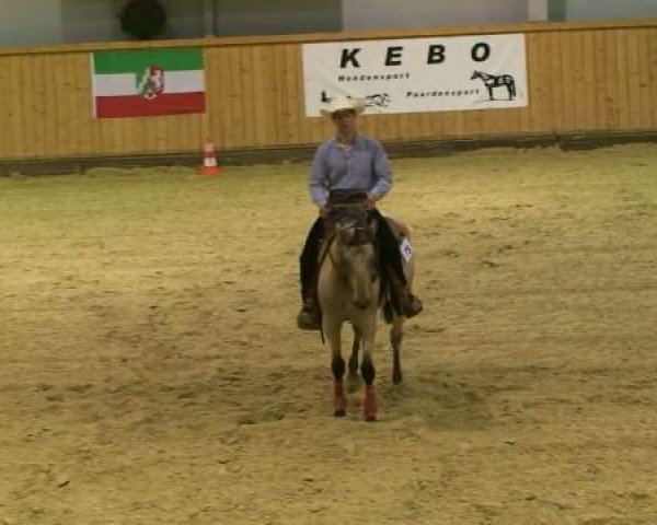 horse King's Missy Olena (Appaloosa, 2006, from GM Kings Little Wolf)