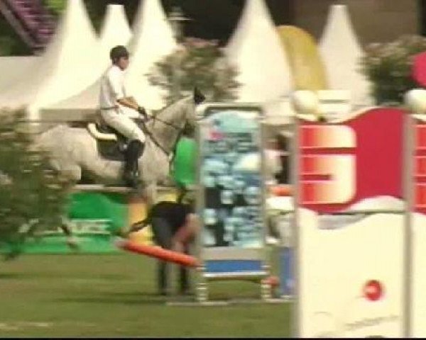 jumper Q-Mano (Holsteiner, 2003, from Quite Capitol)