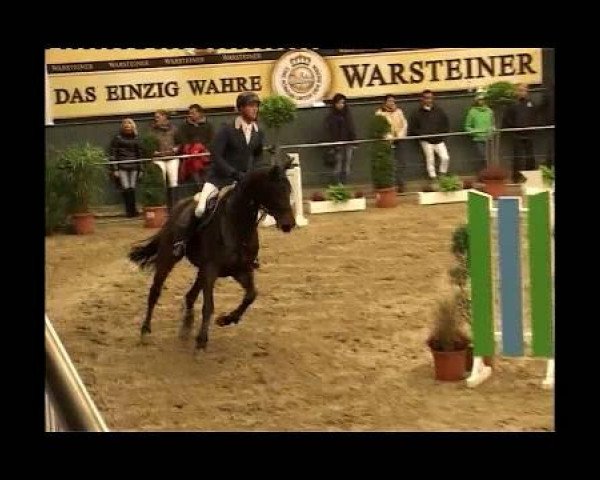 jumper Luigi H (Westphalian, 2003, from Lord Caletto)
