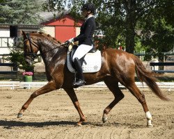 dressage horse Fräulein Smilla 43 (Westphalian, 2014, from Franziskus FRH)