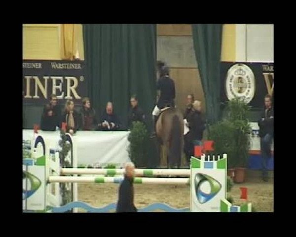 broodmare Voici (Hanoverian, 1969, from Valentino xx)