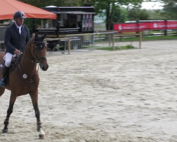 Reitturnier Walldorf/Winterheck 2022