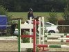 jumper Vinci 4 (German Riding Pony, 1998, from Varus)