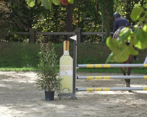 Reitturnier Walldorf/Winterheck 2022