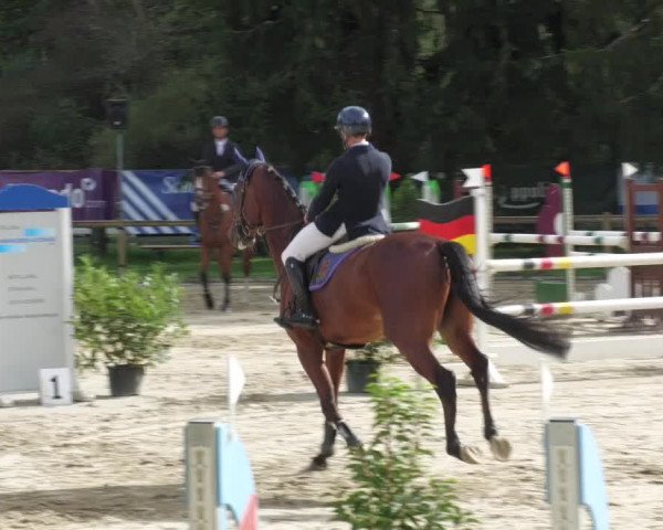 Reitturnier Walldorf/Winterheck 2022