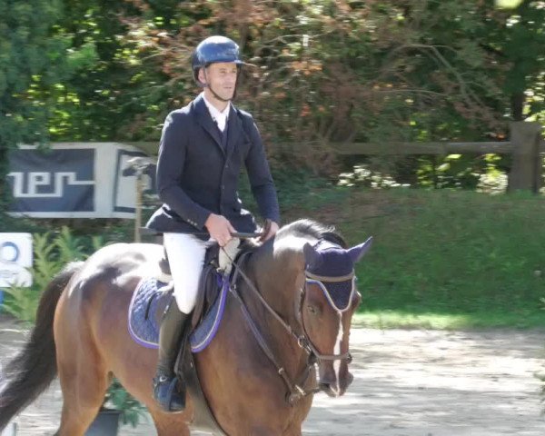 Reitturnier Walldorf/Winterheck 2022