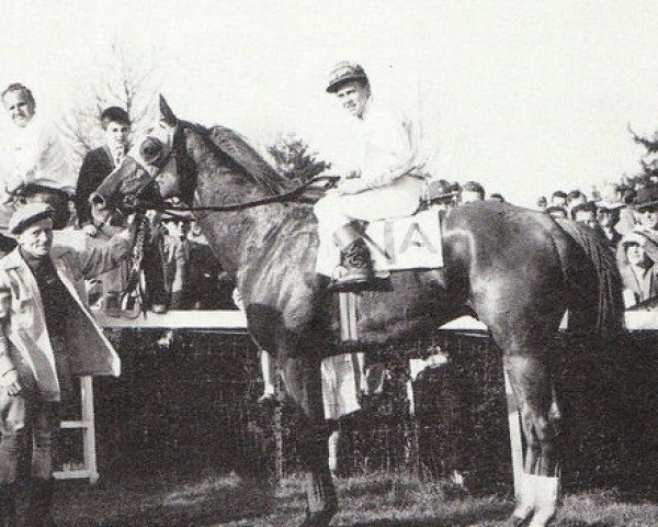 stallion Mount Marcy xx (Thoroughbred, 1945, from Mahmoud xx)