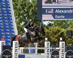 jumper Dante (KWPN (Royal Dutch Sporthorse), 2008, from Indoctro)