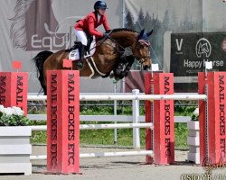 Springpferd Obo van St Maarten (Belgisches Warmblut, 2014, von Kannan)