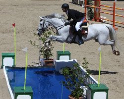 jumper Casanova (KWPN (Royal Dutch Sporthorse), 2007, from Lord Sandro Ddh)