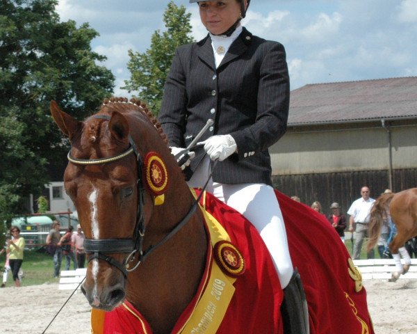 stallion Labatuga (Zweibrücken, 2005, from Londonderry)