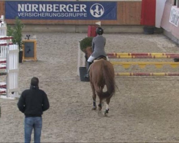horse Corentino B (Rhinelander, 2005, from Coriando)