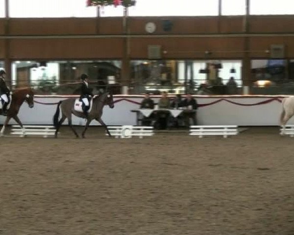 broodmare Laudatio's Jolie Cadeau (German Riding Pony, 2007, from Laudatio)