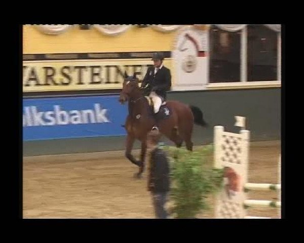 jumper Zeldo (KWPN (Royal Dutch Sporthorse), 2004, from Lester)