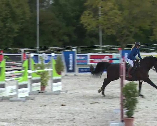 Reitturnier Babenhausen/Schw. 2022