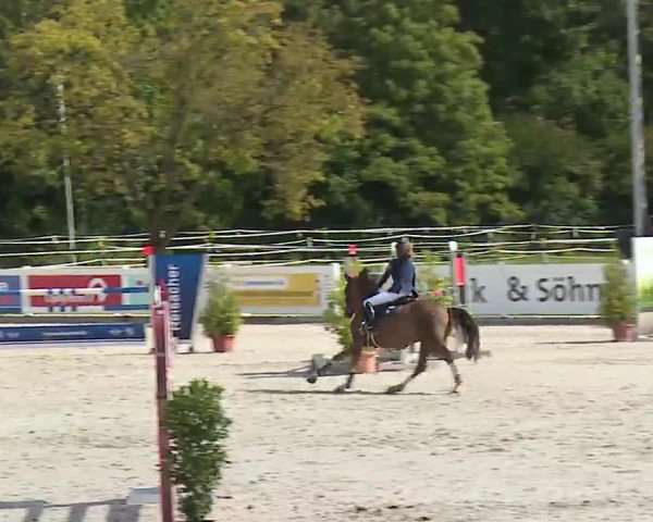 Reitturnier Babenhausen/Schw. 2022