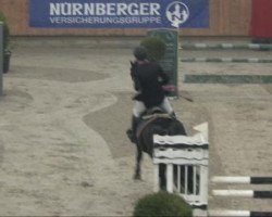 jumper Caatingas (Hanoverian, 2003, from Contendro I)