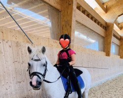 dressage horse Schneeglöckchen (KWPN (Royal Dutch Sporthorse), 2001)