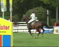 jumper Fiorello 109 (Hanoverian, 2002, from Falsterbo)