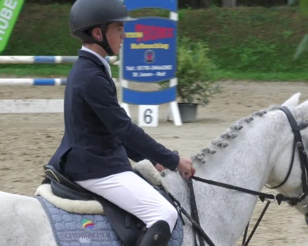 Reitturnier Walldorf/Winterheck 2022