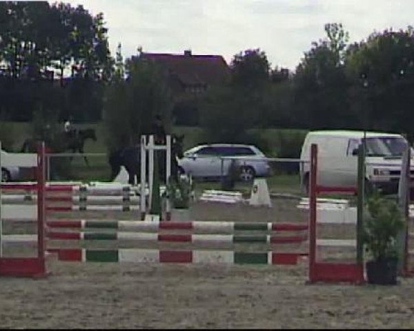 Dressurpferd La Rochee (Deutsches Reitpony, 2005, von Laudatio)