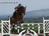 jumper Dechana (German Sport Horse, 2005, from Accusé)