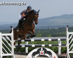 jumper Dechana (Deutsches Sportpferd, 2005, from Accusé)