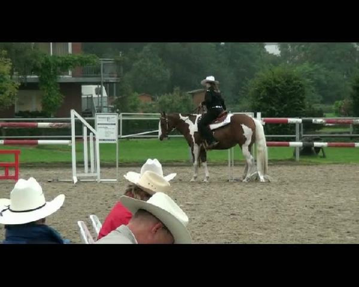 Pferd BB Mercedes Catalyst (Paint Horse, 2006, von Little Peppy Doc)