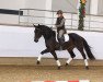 dressage horse Elfentanz 8 (Oldenburg, 2008, from Fidertanz)