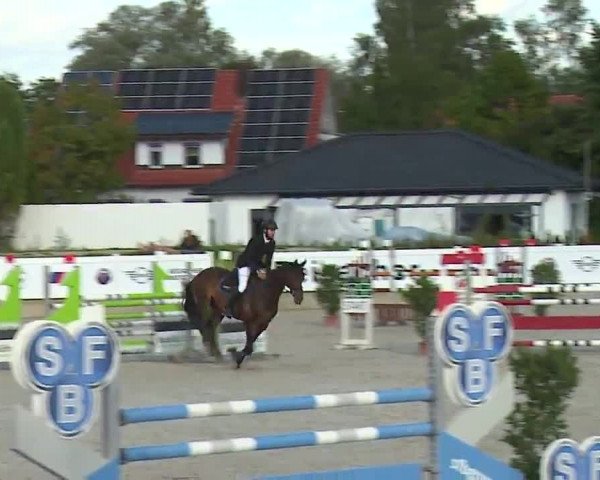 Reitturnier Babenhausen/Schw. 2022