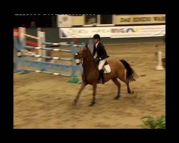 jumper Lavita 14 (Hanoverian, 1998, from Lacantus)