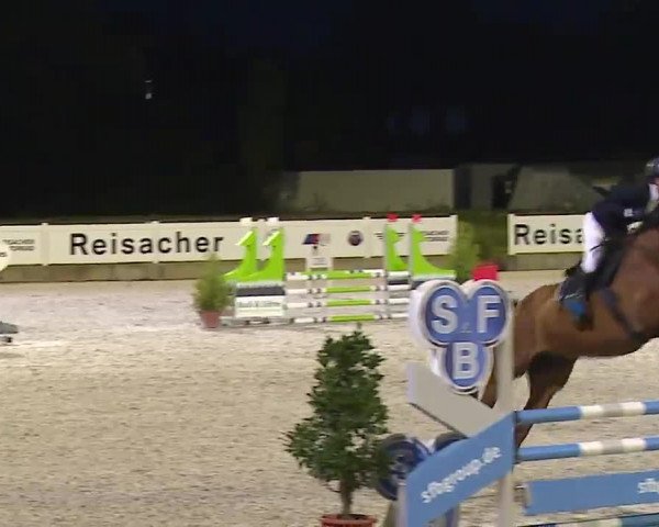 Reitturnier Babenhausen/Schw. 2022