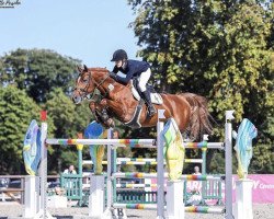 jumper Et Cetera Z (Zangersheide riding horse, 2011, from ET Cryozootech)