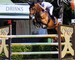 Springpferd Jitsu vd Middelstede (Belgisches Warmblut, 2009, von Diktator van de Boslandhoeve)