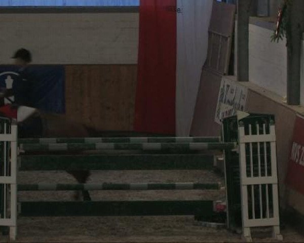 Springpferd Classic Girl 22 (unbekannt, 2002)