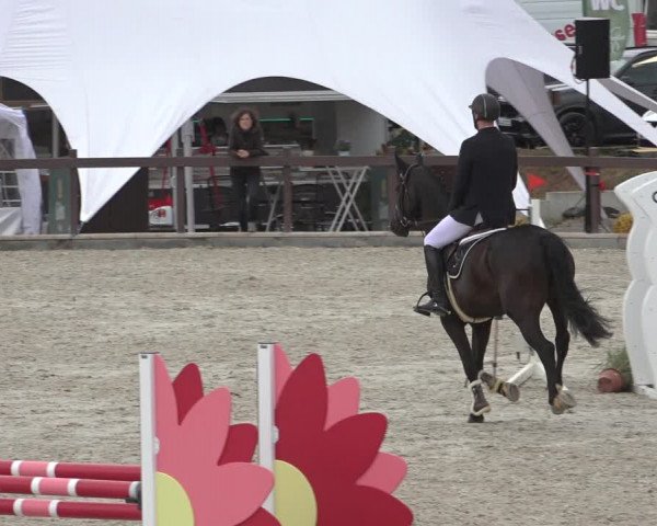 Reitturnier Leichlingen-Witzhelden 2022