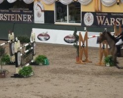 Springpferd Cadeau Ask (Dänisches Warmblut, 1998, von Calypso)