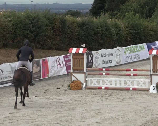 Reitturnier Leichlingen-Witzhelden 2022