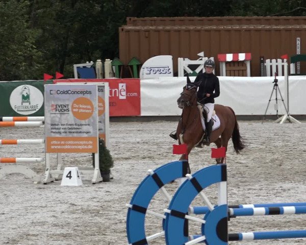 Reitturnier Leichlingen-Witzhelden 2022