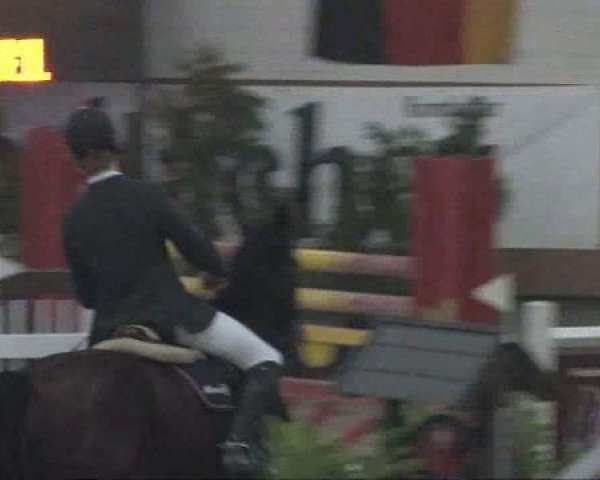 Springpferd Looping's Girl (Oldenburger, 2001, von Looping)